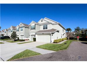 10246 Red Currant Ct, Riverview, FL 33578 photo 1