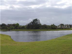 12546 Evington Point Dr, Riverview, FL 33579 photo 1