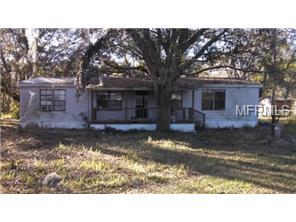 10327 Lyons Ave, Lithia, FL 33547 photo 1