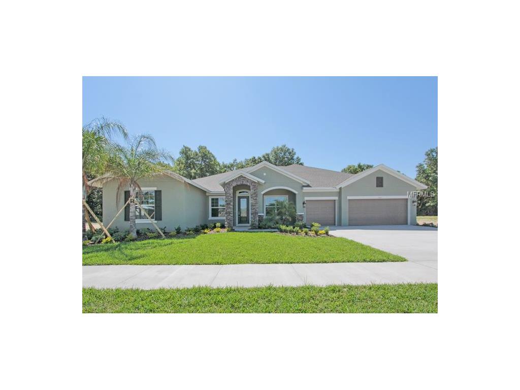 1047 Tracey Ann Loop, Seffner, FL 33584 photo 1