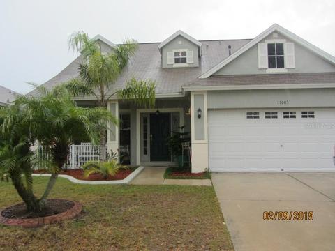 11003 Newbridge Dr, Riverview, FL 33579 photo 1