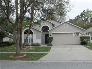 7133 Colony Pointe Dr, Riverview, FL 33578 photo 1