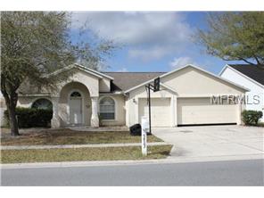 9823 Wydella St, Riverview, FL 33569 photo 1