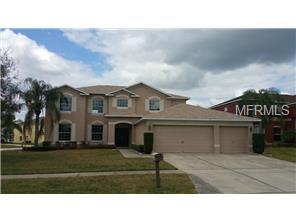 10802 Capstan Lake Dr, Riverview, FL 33579 photo 1