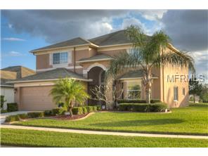 10911 Hoffner Edge Dr, Riverview, FL 33579 photo 1