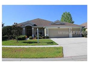 10019 Cannon Dr, Riverview, FL 33578 photo 1