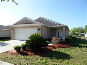 11546 Hammocks Glade Dr, Riverview, FL 33569 photo 1