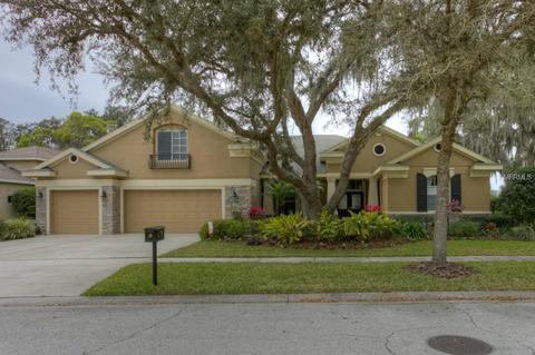 6121 Ibispark Dr, Lithia, FL 33547 photo 1