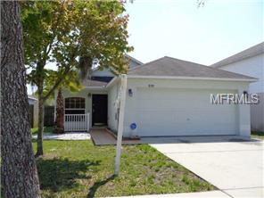 10701 Opus Dr, Riverview, FL 33579 photo 1