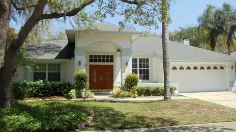 10440 Nightengale Dr, Riverview, FL 33569 photo 1