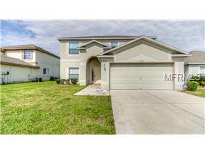 13021 Brant Tree Dr, Riverview, FL 33579 photo 1
