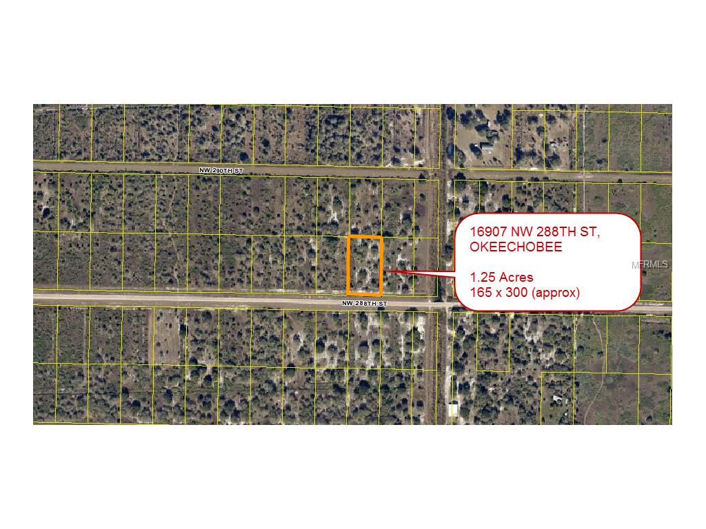 16907 288th St, Okeechobee, FL 34972 photo 1