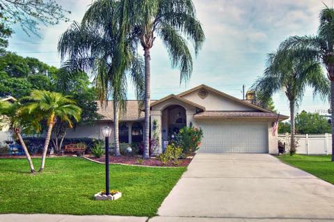 12810 Pintail Ct, Riverview, FL 33569 photo 1
