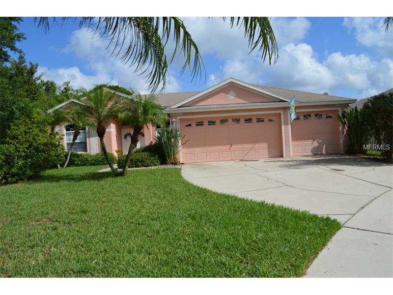 10102 Tantara Ct, Riverview, FL 33578 photo 1
