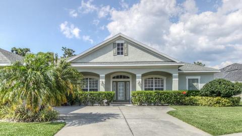 11748 Newberry Grove Loop, Riverview, FL 33579 photo 1