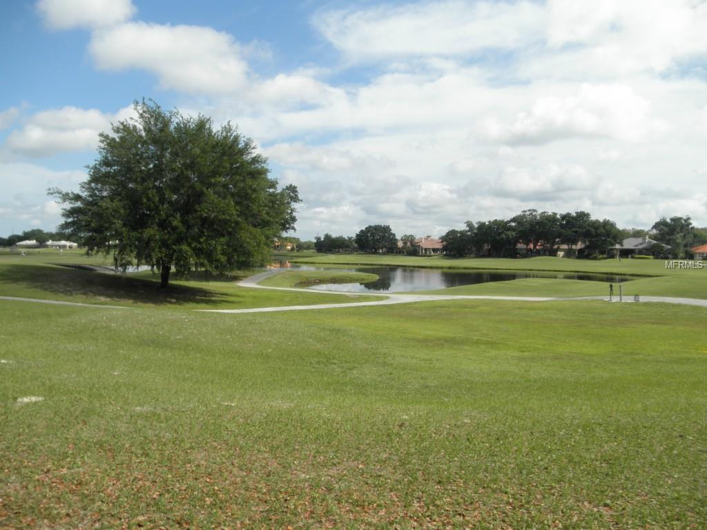 10053 Milano Dr, Trinity, FL 34655 photo 1