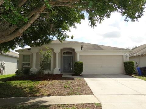 12530 Herons Path Pl, Riverview, FL 33578 photo 1