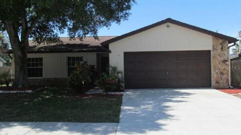 12905 Tallowood Ct, Riverview, FL 33579 photo 1
