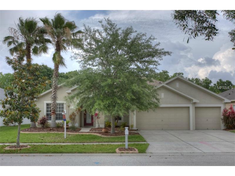 12316 Bramfield Dr, Riverview, FL 33579 photo 1