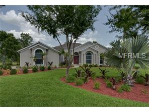 2507 Martucci Rd, Seffner, FL 33584 photo 1