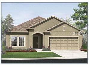 12210 Rambling Stream Dr, Riverview, FL 33569 photo 1