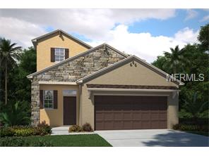 11625 Lake Blvd, Trinity, FL 34655 photo 1