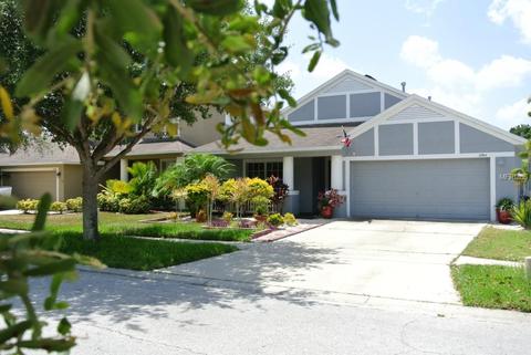 12764 Standbridge Dr, Riverview, FL 33579 photo 1