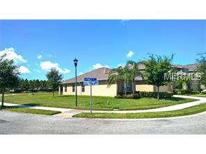 11315 Langworth Hill Ln, Riverview, FL 33579 photo 1