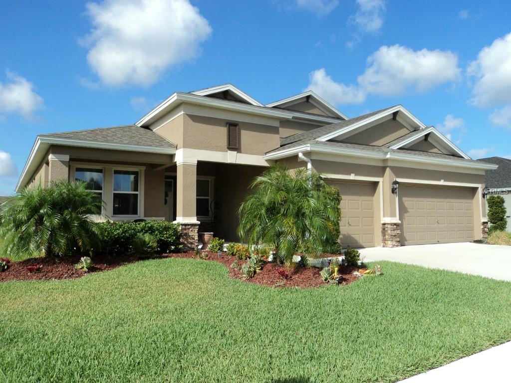 11838 Newberry Grove Loop, Riverview, FL 33579 photo 1
