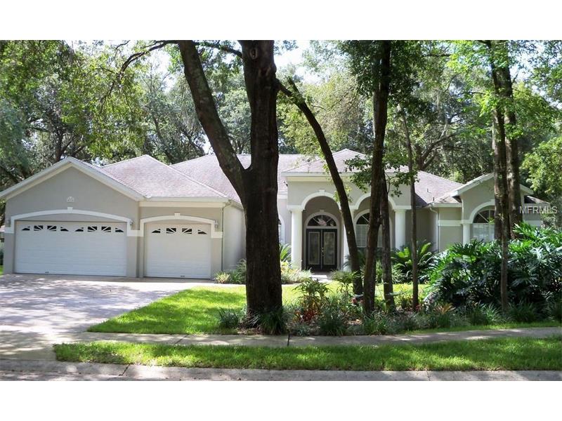 4715 Dover Cliff Ct, Dover, FL 33527 photo 1