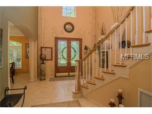 1003 State St E, Oldsmar, FL 34677 photo 1