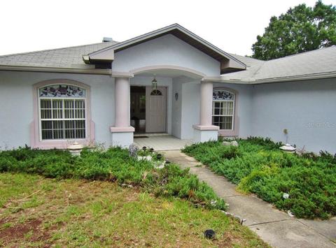 10904 Dixon Dr, Riverview, FL 33579 photo 1
