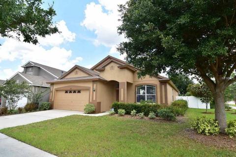 10914 Newbridge Dr, Riverview, FL 33579 photo 1