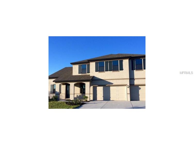 11626 Iris Spring Ct, Riverview, FL 33579 photo 1