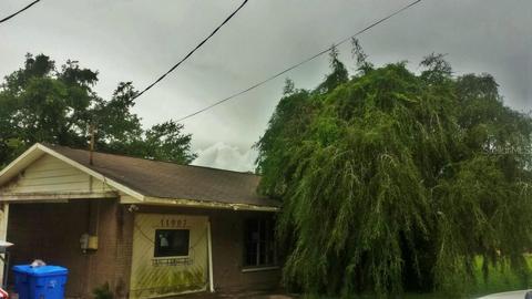 11907 Clay Pit Rd, Seffner, FL 33584 photo 1