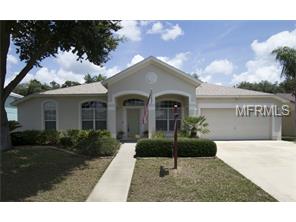 10411 Sedgebrook Dr, Riverview, FL 33569 photo 1