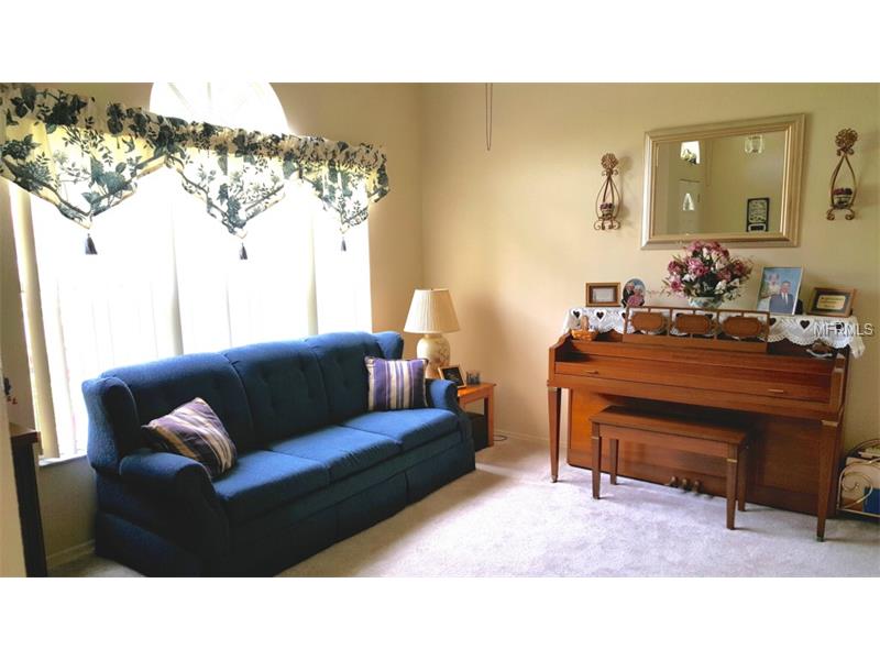 11539 N Wellman Dr, Riverview, FL 33569 photo 1
