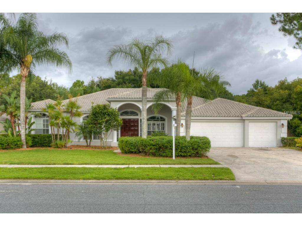 6906 Arabian Rd, Odessa, FL 33556 photo 1