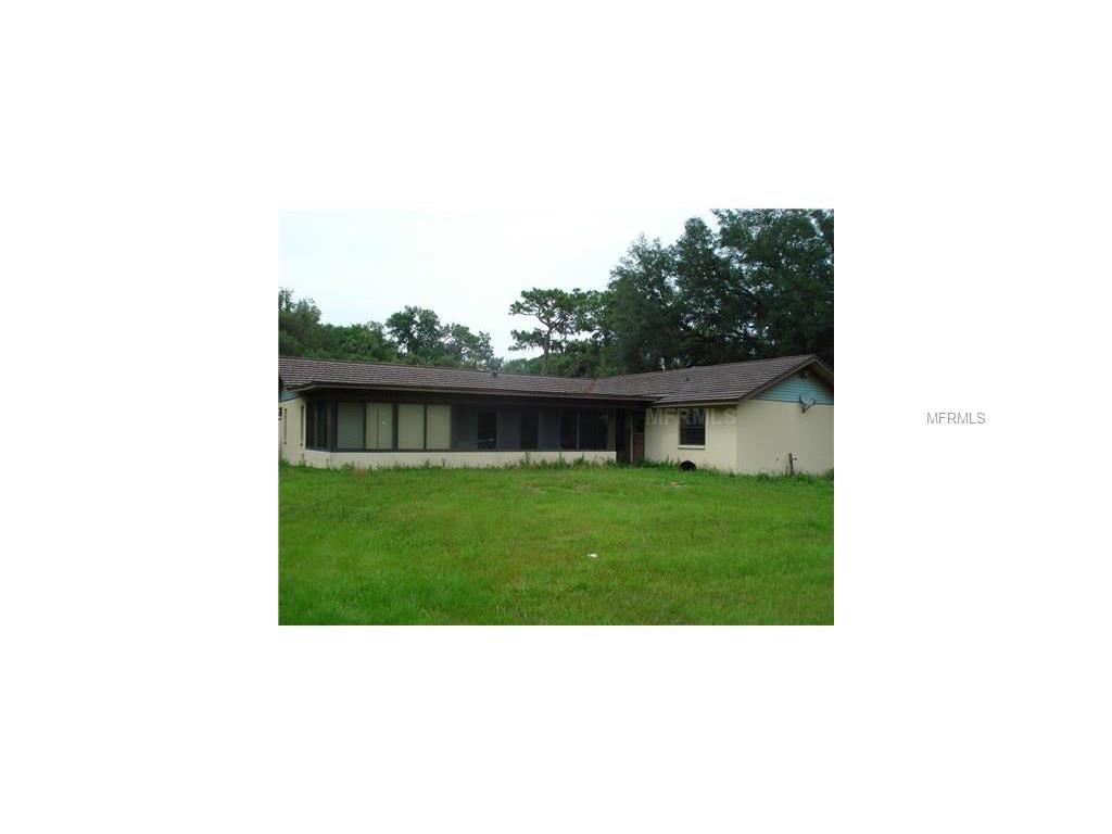 8334 Lithia Pinecrest Rd, Lithia, FL 33547 photo 1