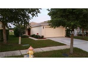 13614 Silver Charm Ct, Riverview, FL 33579 photo 1