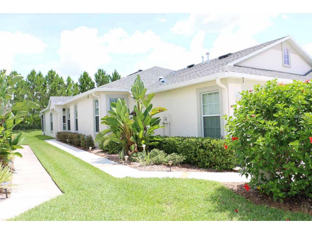 11483 Cambray Creek Loop, Riverview, FL 33579 photo 1