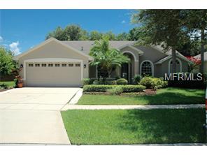 10053 Remington Dr, Riverview, FL 33578 photo 1