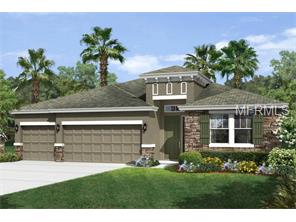 6719 Riverside Bluffs Dr, Riverview, FL 33578 photo 1