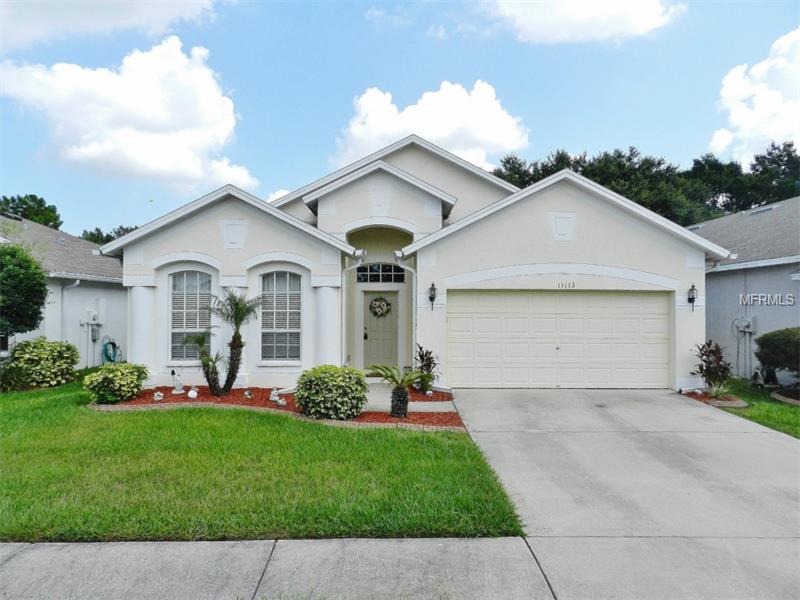 11112 Silver Dancer Dr, Riverview, FL 33579 photo 1
