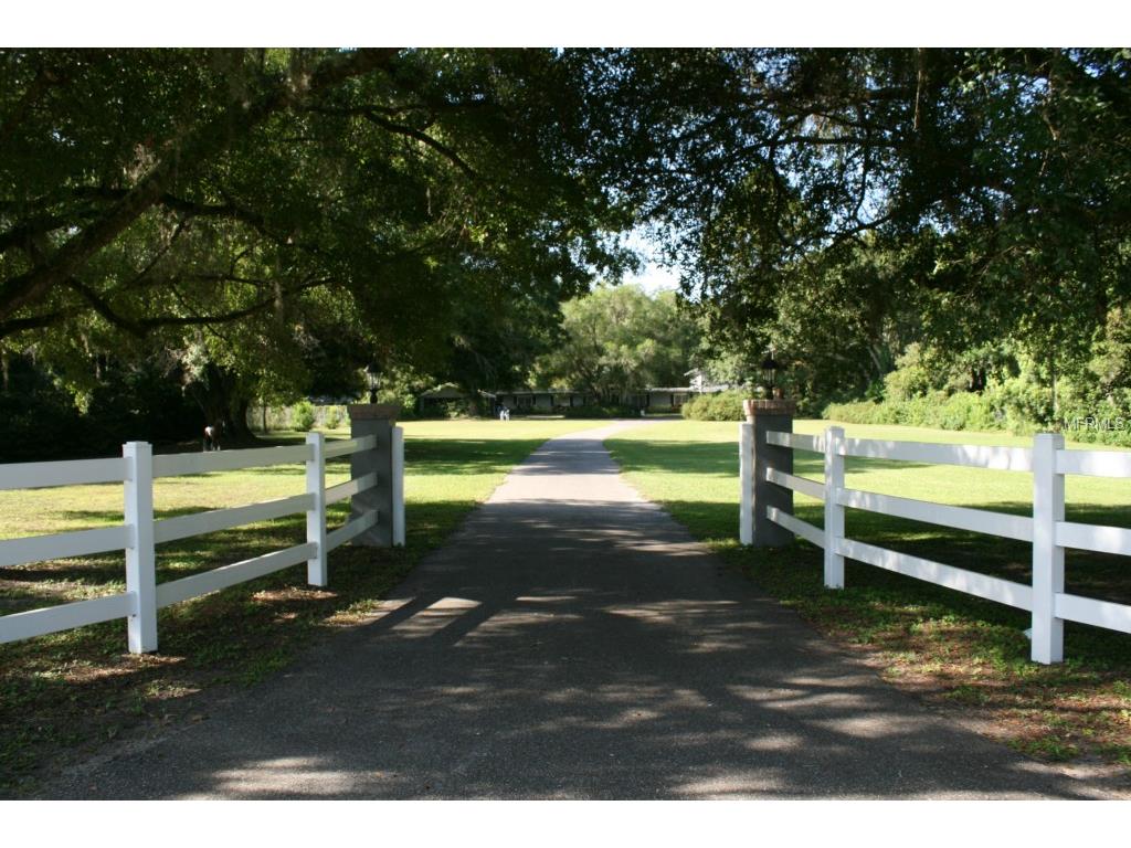 305 Duque Rd, Lutz, FL 33549 photo 1