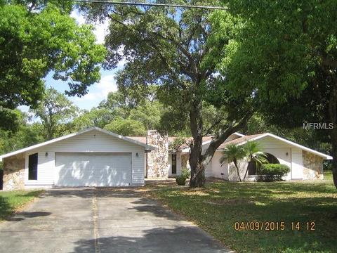 18706 Mapleleaf Dr, Hudson, FL 34667 photo 1