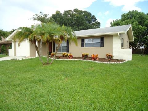 1709 Mapleleaf Blvd, Oldsmar, FL 34677 photo 1