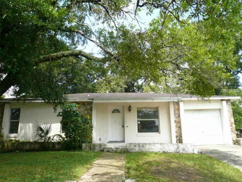 1007 Tiburon Dr, Seffner, FL 33584 photo 1
