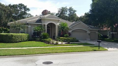 15009 Eaglepark Pl, Lithia, FL 33547 photo 1