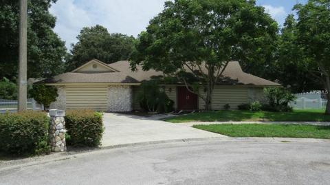 2802 Beagle Pl, Seffner, FL 33584 photo 1